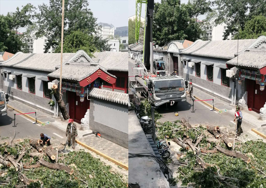 1589199056370774.jpg 7.jpg