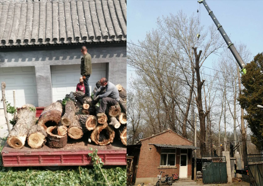 1589199067864201.jpg 9.jpg