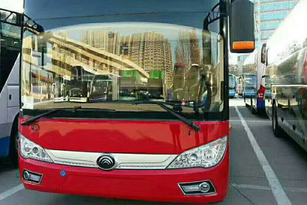 1597675029307719.jpg 4.jpg