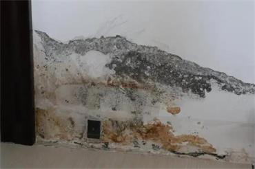 1687793982810941.jpg 微信截图_20230205143320.jpg