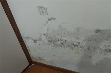 1690381401574772.jpg 微信截图_20221001120004.jpg