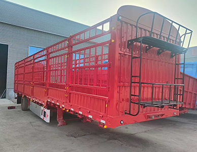 1774428864464736.jpg 5.jpg