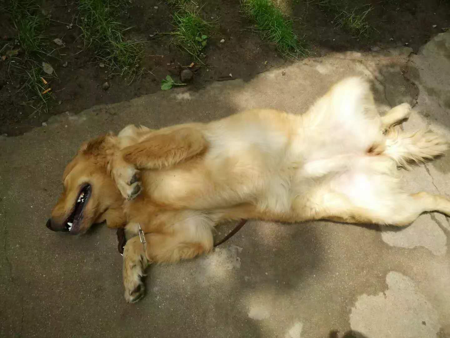 1589514187255971.jpg 10.jpg